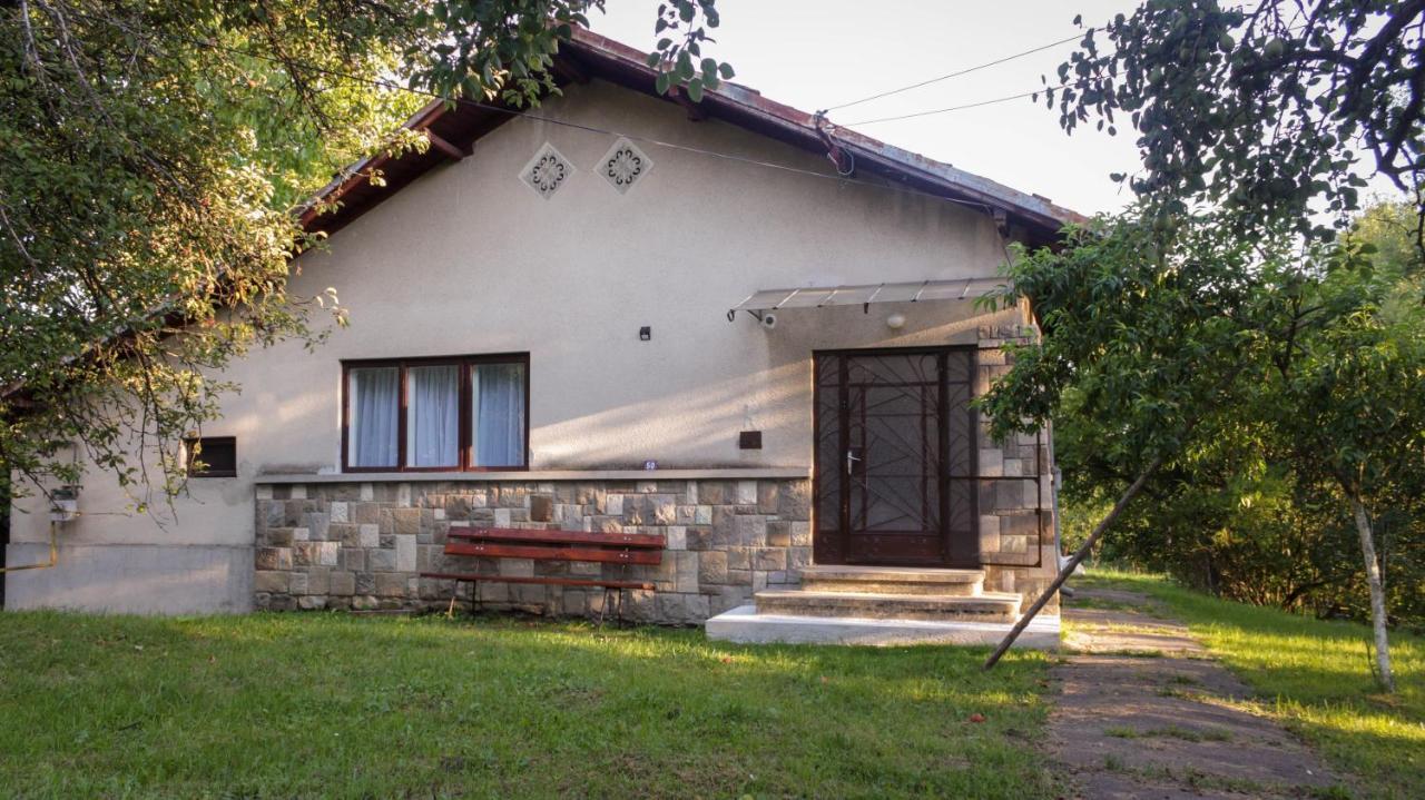 Casa Rurala Cu Livada Lavandra Câmpina Exterior foto